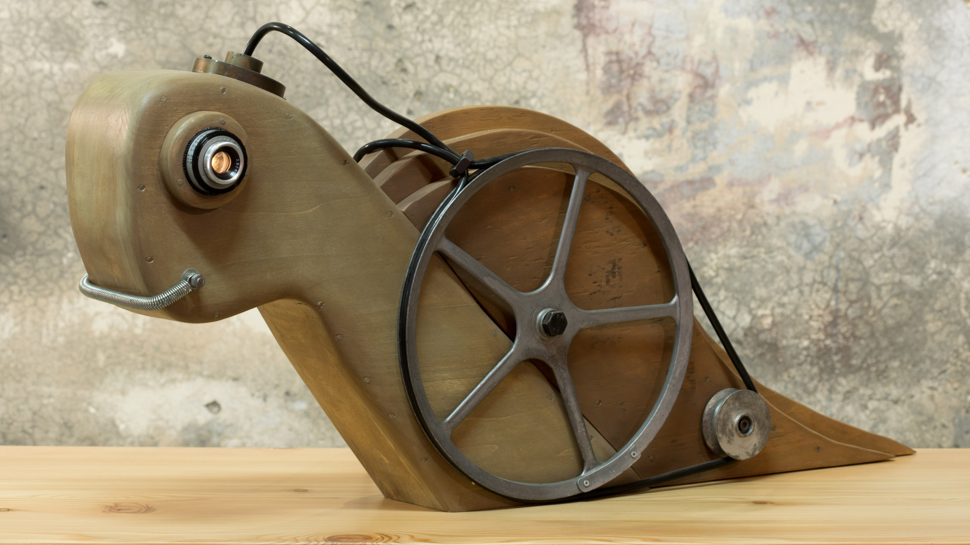 diana super Slow motion 3