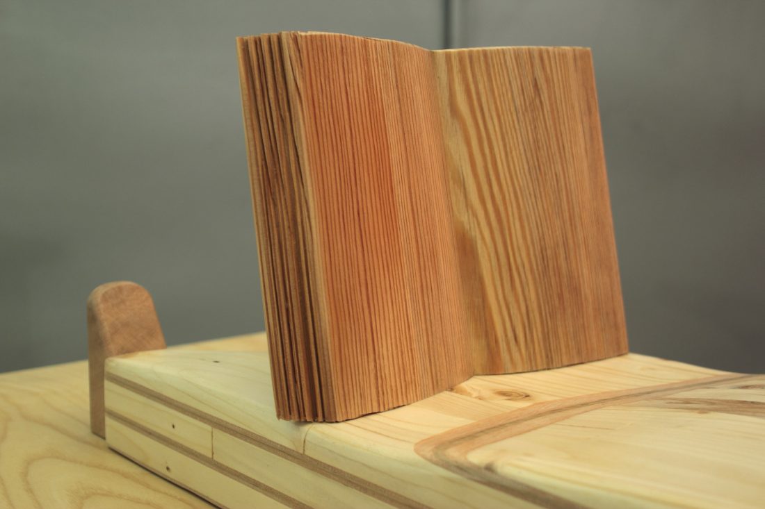 Pupezzo di legno Leggere mi Distende