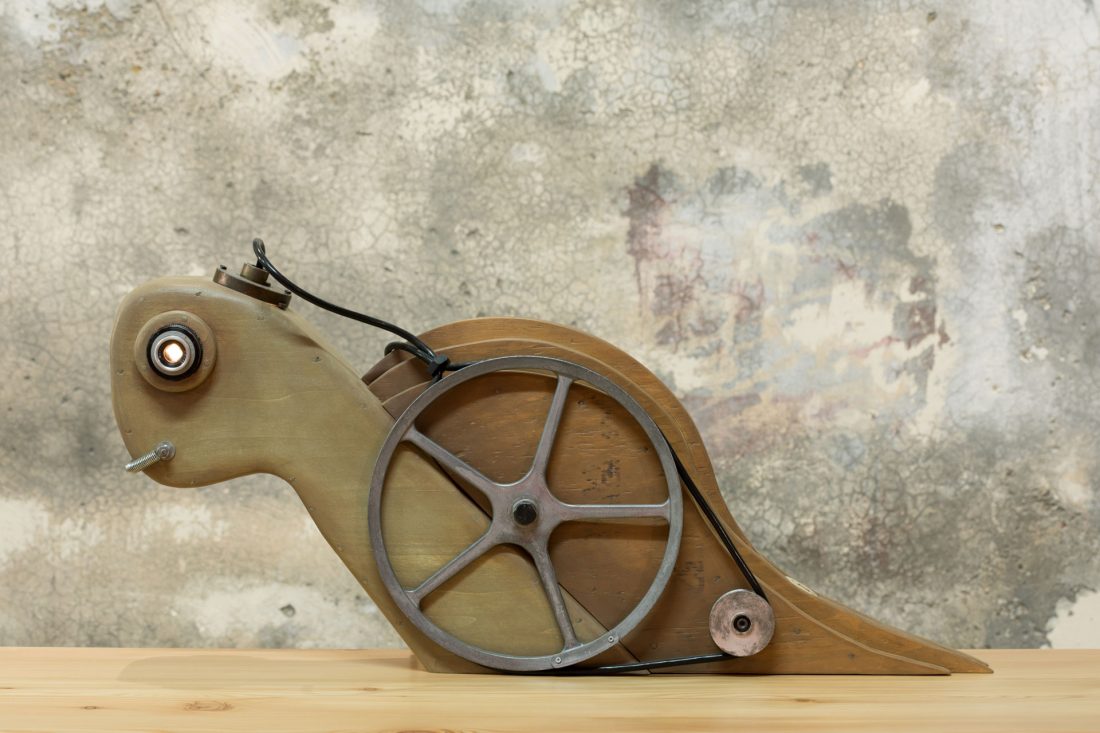 Diana Super Slow-motion