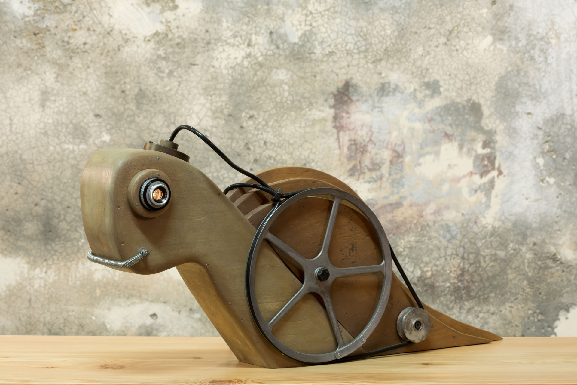 Diana Super Slow-motion