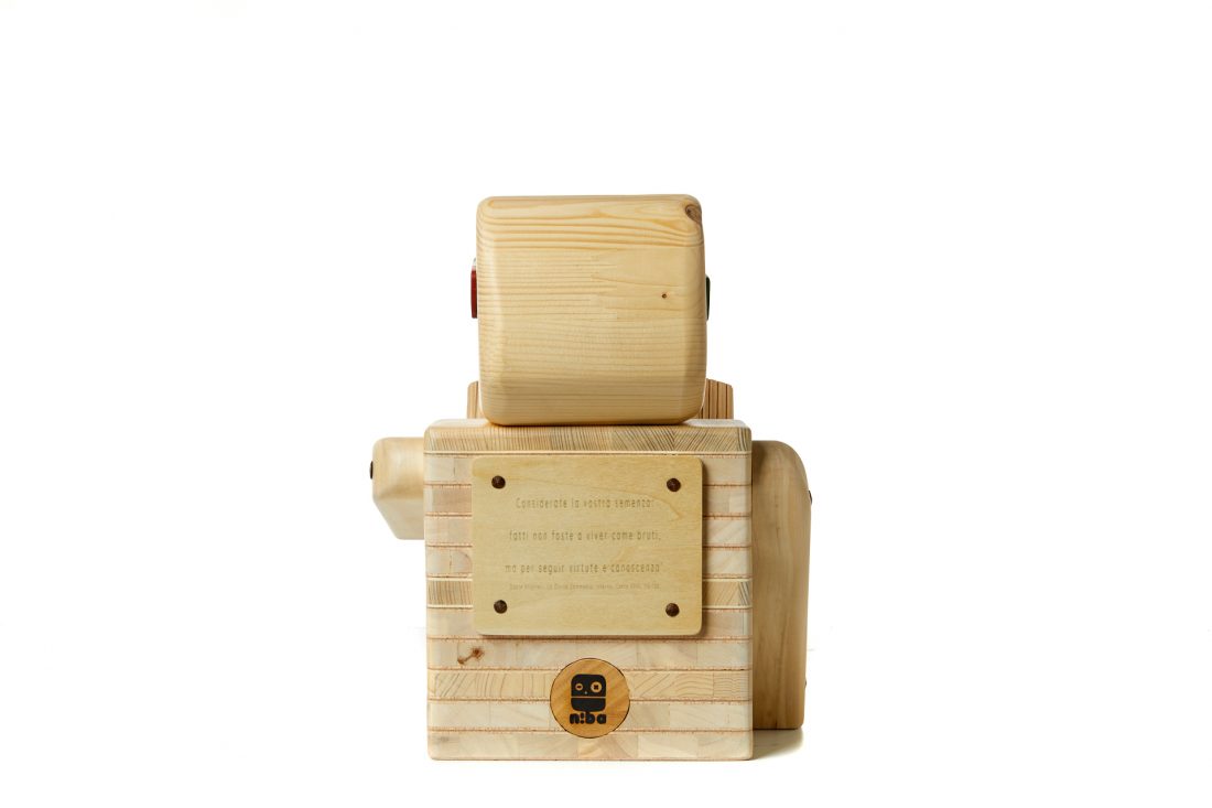 Pupezzo di legno - il piccolo lettore