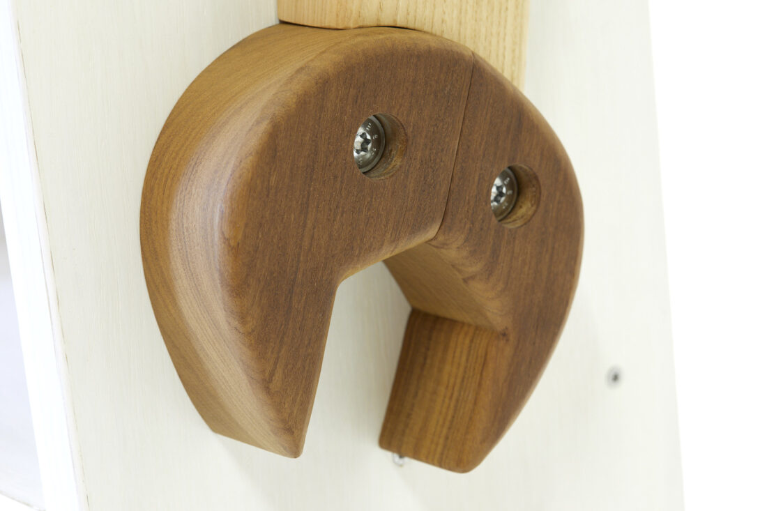 robot custode di libri speciali