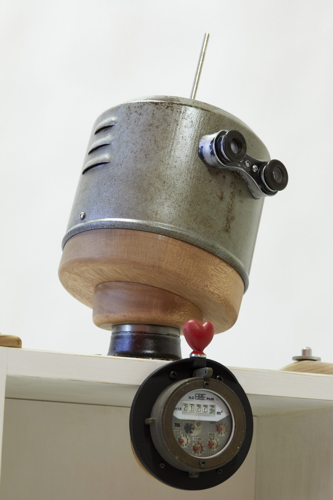 robot custode di libri speciali