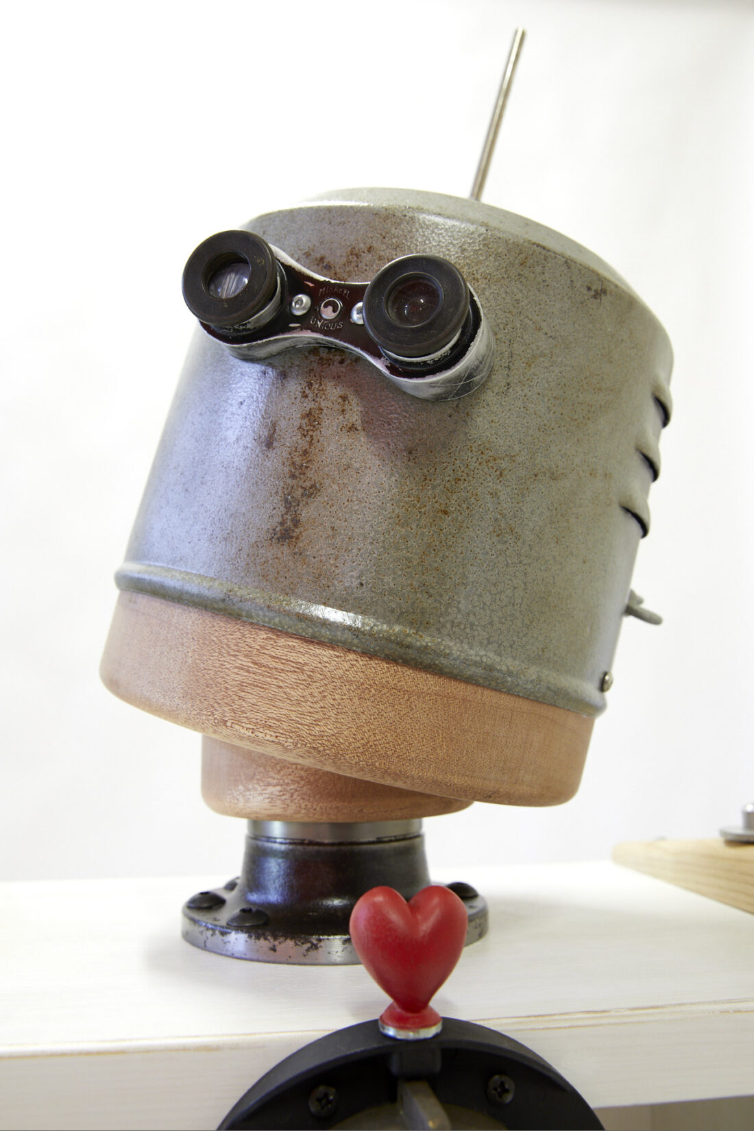 robot custode di libri speciali