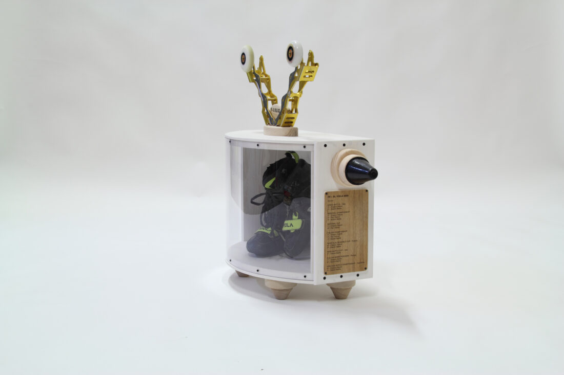 Pattinator teca per pattini