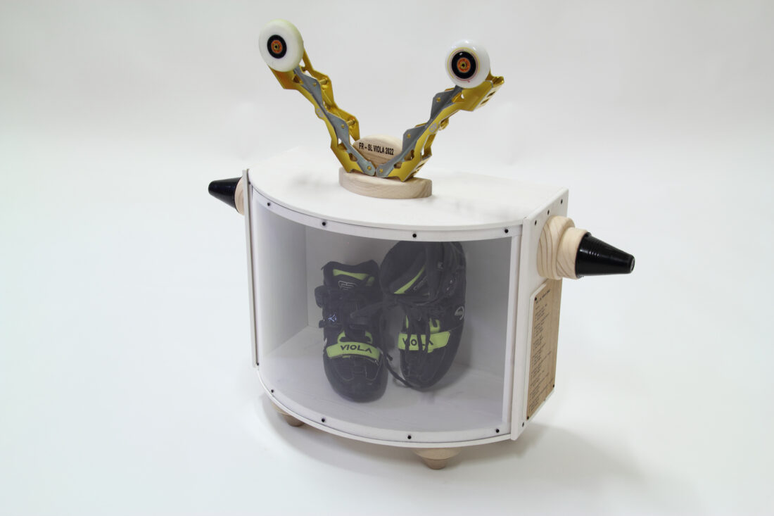 Pattinator teca per pattini