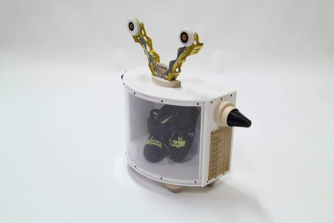 Pattinator teca per pattini