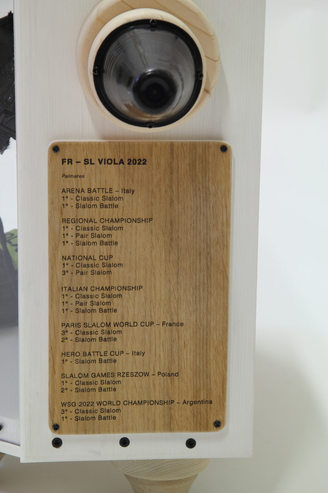 Pattinator teca per pattini